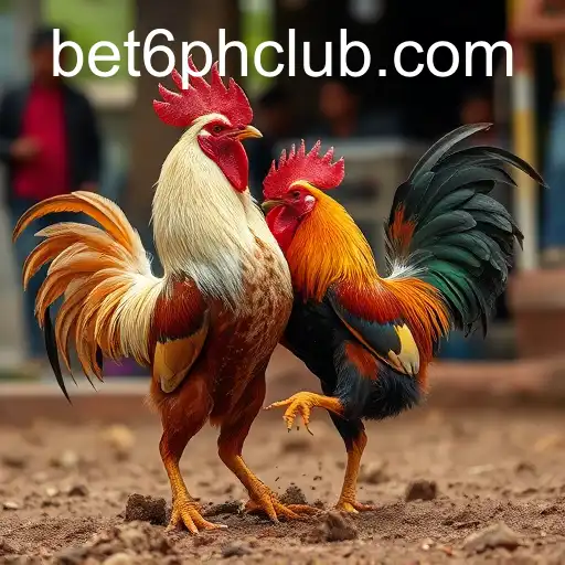 Cockfighting: A Controversial Tradition in Modern Times